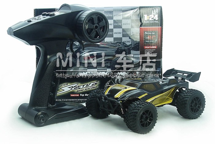 1/24 Scale  RTR off-road Mini 4WD Four wheel suspension RC buggy, High speed RC Racing Car.